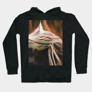 The Shape of Sorrow Hoodie